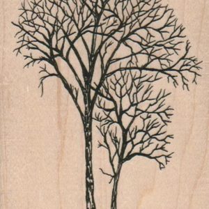 Leafless Trees 3 x 4-0