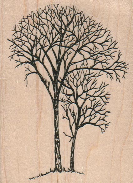 Leafless Trees 3 x 4