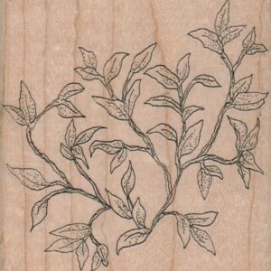 Branches Of Leaves 3 1/4 x 3 1/4-0