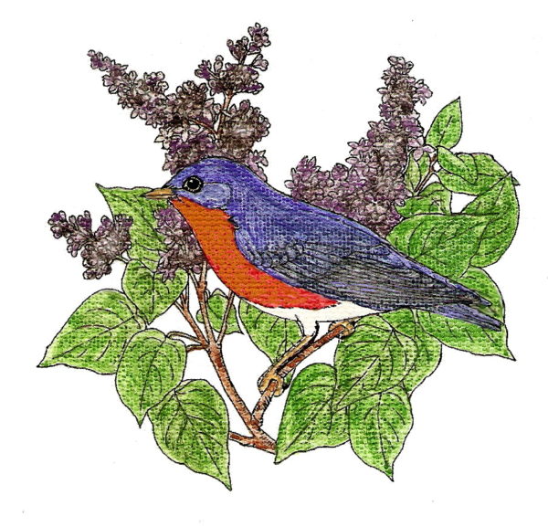 Bluebird In Lilacs 1 3/4 x 1 3/4-24862