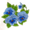 Pansies 3 x 3-24875