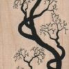 Crooked Tree 2 x 5 1/4-0