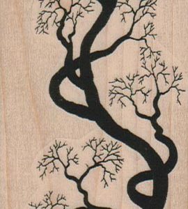 Crooked Tree 2 x 5 1/4-0