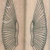 Pair O Wings 3/4 x 1 3/4 (2)-0
