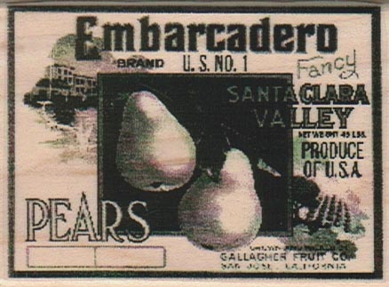 Embarcadero Pears Photo Image Label 2 1/4 x 3