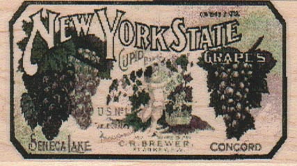 New York State Photo Image Label 1 3/4 x 3