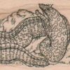 Moray Eel 1 1/2 x 2 1/4-0