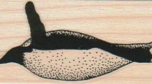 Penguin Left Zooming #2 1 1/4 x 2 1/4-0