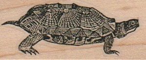 Turtle Walking 1 x 2 1/4-0