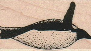 Penguin Zooming Right #2 1 1/4 x 2 1/4-0