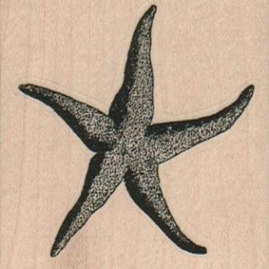 Fat StarFish 2 1/4 x 2 1/4-0