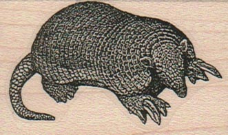 Armadillo 1 1/2 x 2 1/4