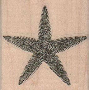 Starfish Spiny 2 x 2
