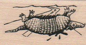 Roadkill Armadillo 1 1/4 x 2 1/4-0