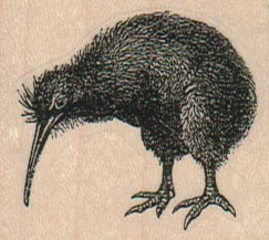 Kiwi Bird 1 3/4 x 1 1/2