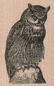 Horned Owl 1 3/4 x 2 1/2