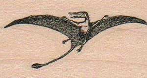 Pterodactyl 1 1/4 x 2 1/4-0