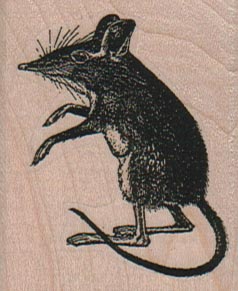 Peering Mouse 1 3/4 x 2