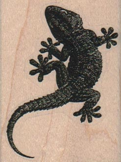 Gecko 1 3/4 x 2 1/4