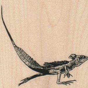 Leapin' Lizard (Large) 3 x 2 3/4-0