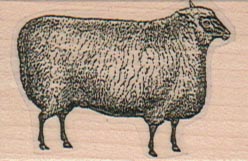 The Well-Engineered Sheep 1 1/4 x 1 3/4