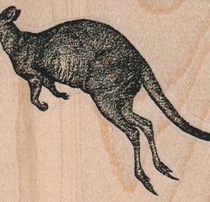 Kangaroo 3 x 2-0