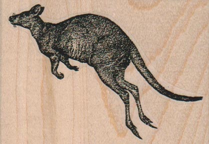 Kangaroo 3 x 2