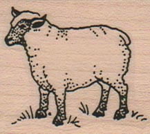 Sheep 1 1/2 x 1 1/2