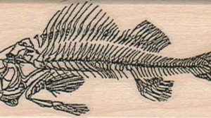 Fish Bones 1 1/4 x 2 3/4-0