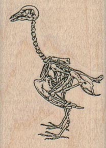 Bird Bones 1 1/2 x 2