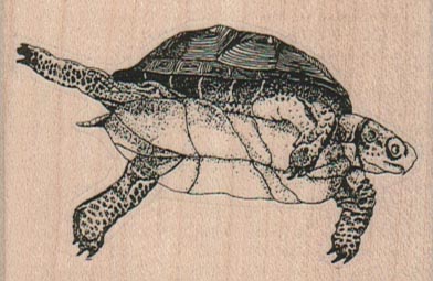 Swimming Turtle (Small) 2 3/4 x 1 3/4