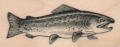 Rainbow Trout (Medium) 1 1/4 x 2 3/4