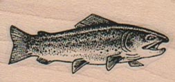 Rainbow Trout (Small) 1 x 1 3/4