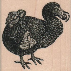 Dodo 2 3/4 x 2 3/4-0