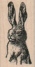 Bug-Eyed Bunny 1 x 1 3/4