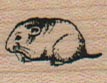 Meadow Vole (Small) 3/4 x 3/4-0