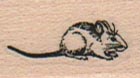 Pygmy Mouse (Small) 3/4 x 1-0