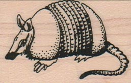 Armadillo (Large) 1 1/4 x 1 3/4