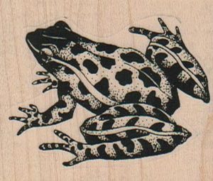 Leopard Frog 2 3/4 x 1 3/4-0
