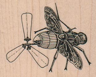 Steampunk Propellor Fly 2 1/4 x 1 3/4