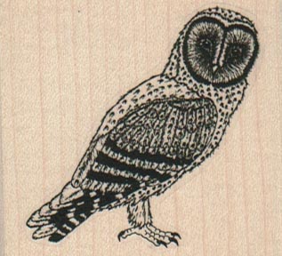 Barn Owl 2 1/4 x 2
