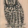 Great Horned Owl 1 1/4 x 2-0