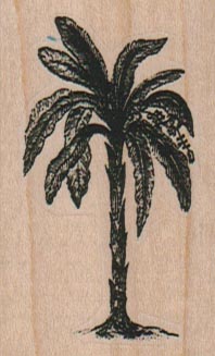 Banana Tree 1 1/2 x 2 1/4