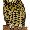 Great Horned Owl 1 1/4 x 2-28203