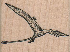 Flying Dino – RhamphorHynchus 2 x 1 1/2