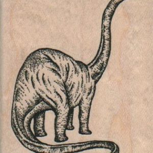 Dinosaur - Diplodocus 2 1/4 x 2 1/2-0