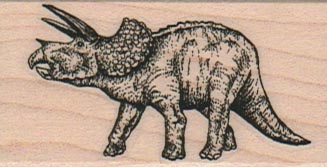 Dinosaur – Triceratops 1 1/4 x 2 1/4