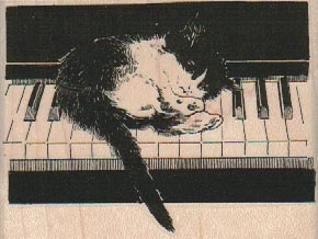 Kitten On Piano 3 x 2 1/4