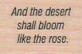 And The Desert Shall Bloom 1 x 1 1/4