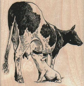 Cow And Piglet 3 x 3